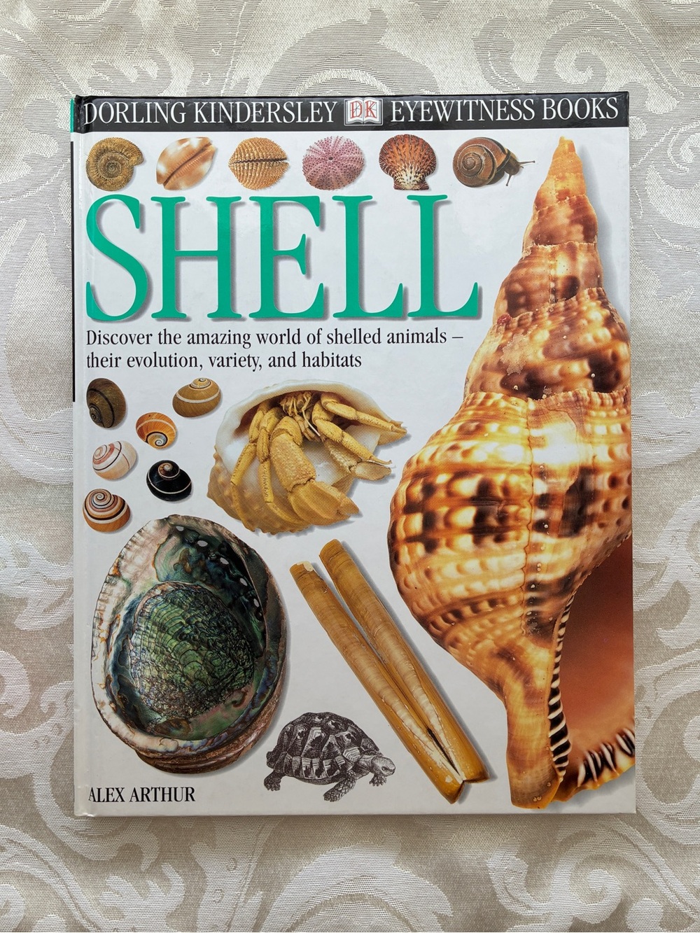 DK Eyewitness Books: Shell by Alex Arthur Hardcover 64 Pages